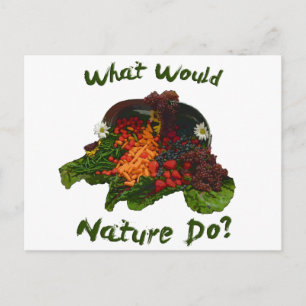 Cartão Postal O que a Natureza faria