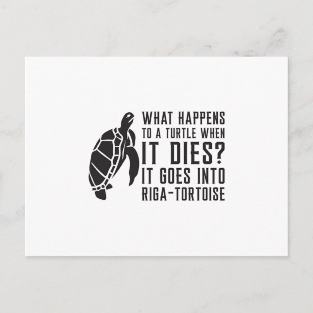 Cartão Postal O que acontece com um amante de tartarugas Tartaru (Frente)