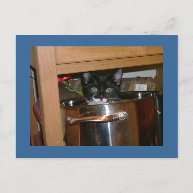 Cartão Postal O que é Cookin? (Frente)