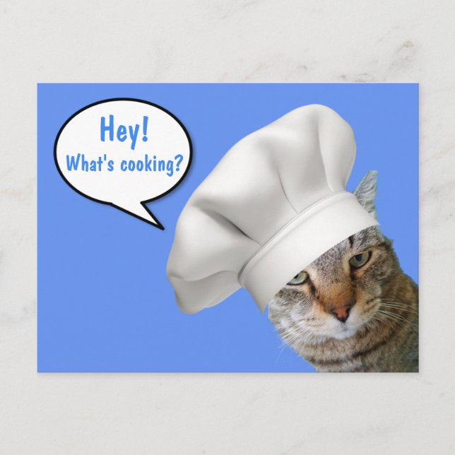 Cartão Postal O que é Cozinhar? Chef Cat (Frente)