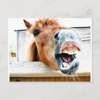 Cartão Postal O que é tão engraçado?