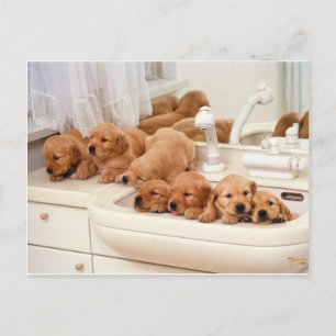 Cartão Postal O que é um Banho? Folhas Cuadas Detectar BathTime