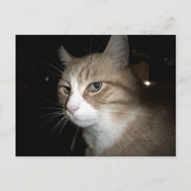 Cartão Postal O que ele está pensando? (Frente)