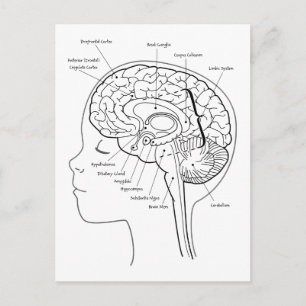 Cartão Postal O que está no seu cérebro
