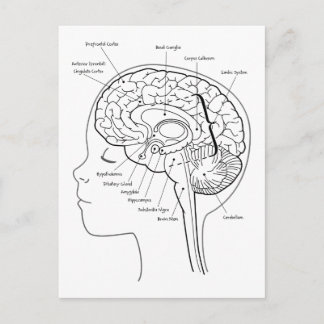 Cartão Postal O que está no seu cérebro