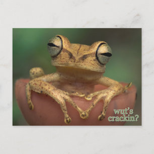 Cartão Postal o que está rachando?