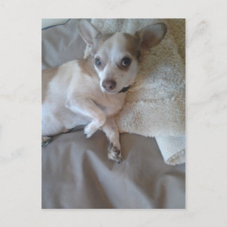 Cartão Postal O Que Foi?