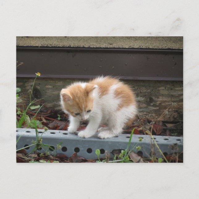 Cartão Postal "O que há lá embaixo?" (Frente)