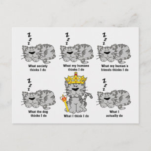 Cartão Postal O Que O Gato Acha Engraçado