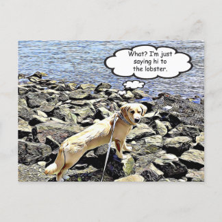 Cartão Postal O quê? Vou dizer olá à lagosta.