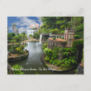Cartão Postal O Real Portugal- Jardim Botânico da Madeira