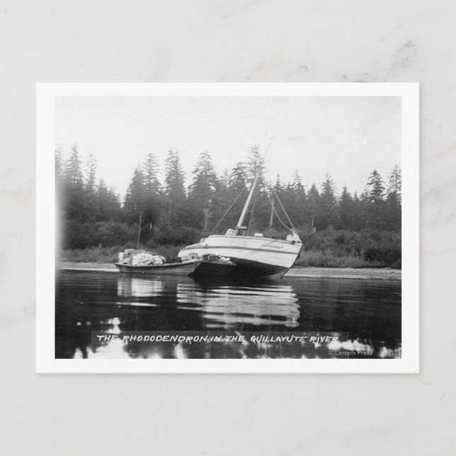 Cartão Postal O Rhododendron no rio Quillayute (Frente)
