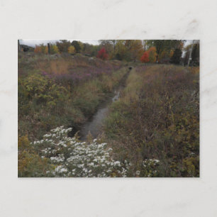 Cartão Postal O riacho