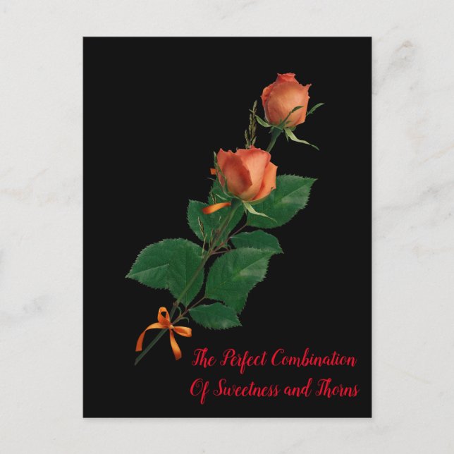 CARTÃO POSTAL O ROSA (Frente)