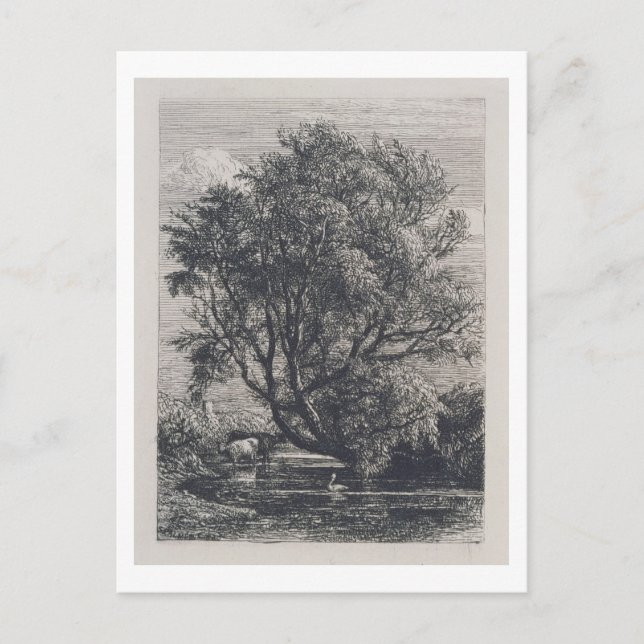 Cartão Postal O salgueiro (gravura a água-forte) (Frente)