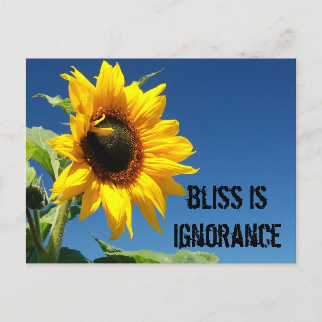Cartão Postal O segredo para a felicidade é a completa ignorânci (Frente)