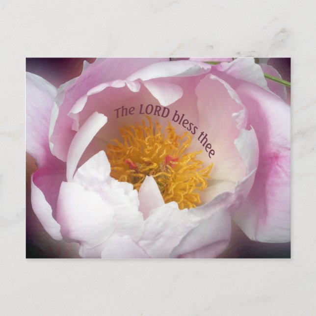 Cartão Postal O Senhor Abençoa Lá (Frente)