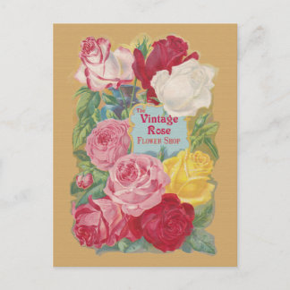 Cartão Postal O sinal de Compro da ventoinha do Rosa Vintage