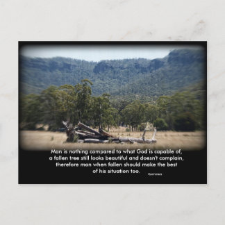 Cartão Postal O Sleepy Log, Homem não é nada comparado ao que...