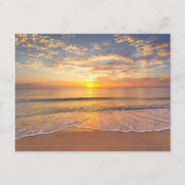 Cartão Postal O Sol da Manhã à beira-mar (Frente)