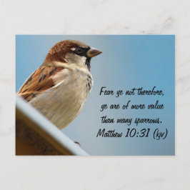 Cartão Postal O Sparrow