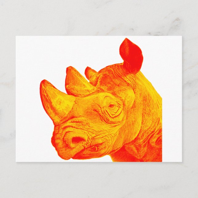 CARTÃO POSTAL O SUNNY RHINO (Frente)