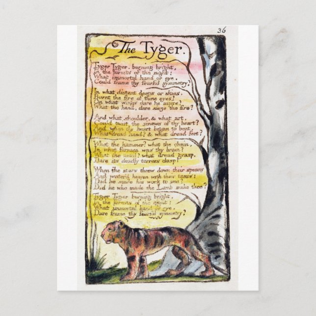 Cartão Postal "O tigre", placa 36 (Bentley 42) (Frente)