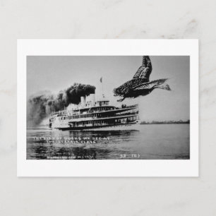 Cartão Postal O tipo de patos que vemos