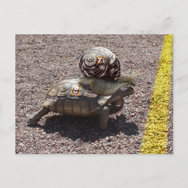 Cartão Postal O trapaceiro (Frente)