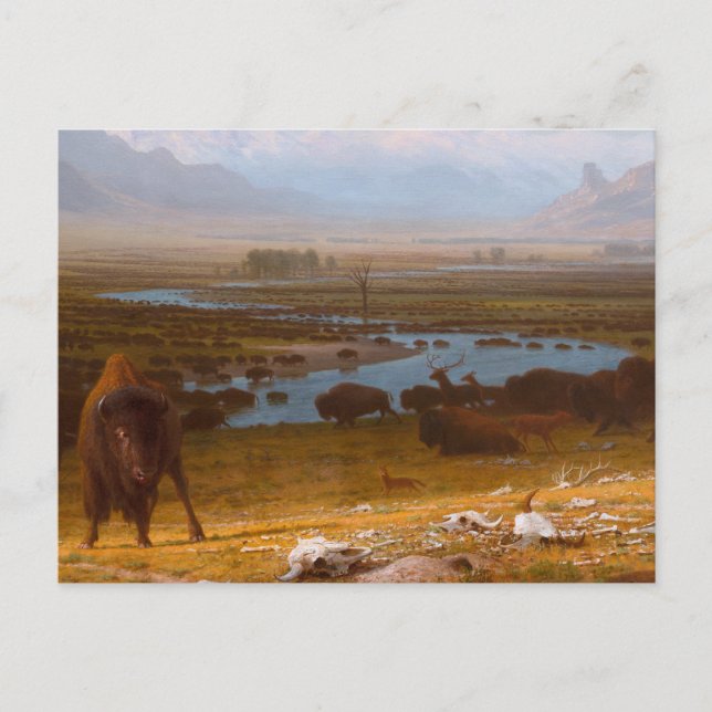 Cartão Postal O Último de Buffalo (Frente)