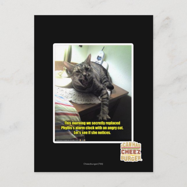 Cartão Postal O vamos vê se ela percebe. (Frente)