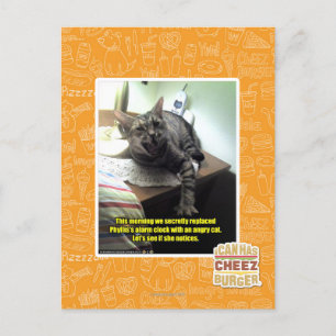 Cartão Postal O vamos vê se ela percebe.