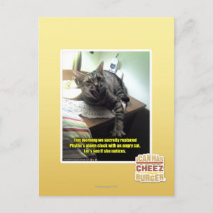 Cartão Postal O vamos vê se ela percebe.