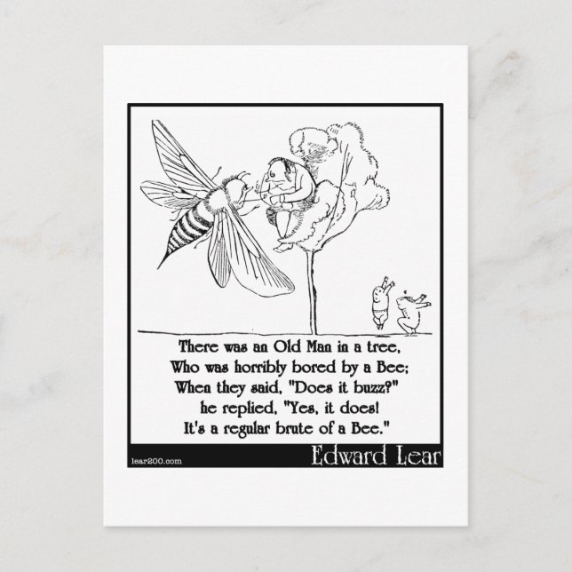 Cartão Postal O Velho de Edward Lear em uma árvore Limerick (Frente)