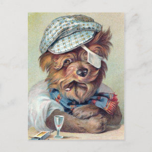 Cartão Postal "O Velho Rascal" Cão Vintage