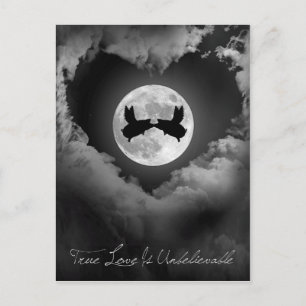 Cartão Postal O Verdadeiro Amor É Um Beijo Inacreditável