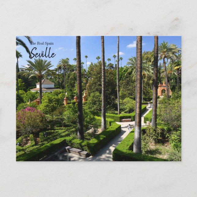 Cartão Postal O verdadeiro Espanha- Sevilha (Frente)