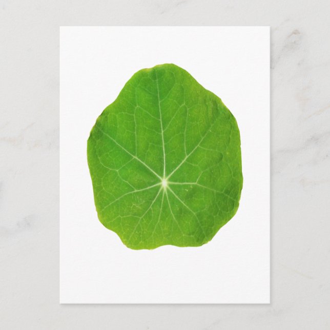 Cartão Postal O verde do apoio, salvar o planeta (Frente)