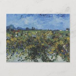 Cartão Postal O Vineyard Verde, Vincent Van Gogh