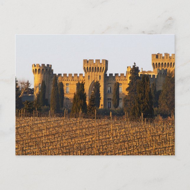 Cartão Postal O vinhedo com videiras syrah e o castelo (Frente)