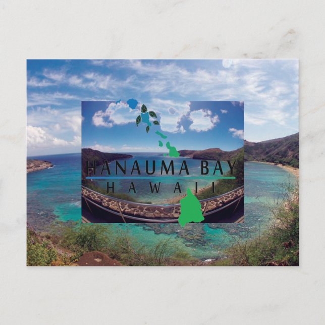 Cartão Postal Oahu Island Turtle (Frente)