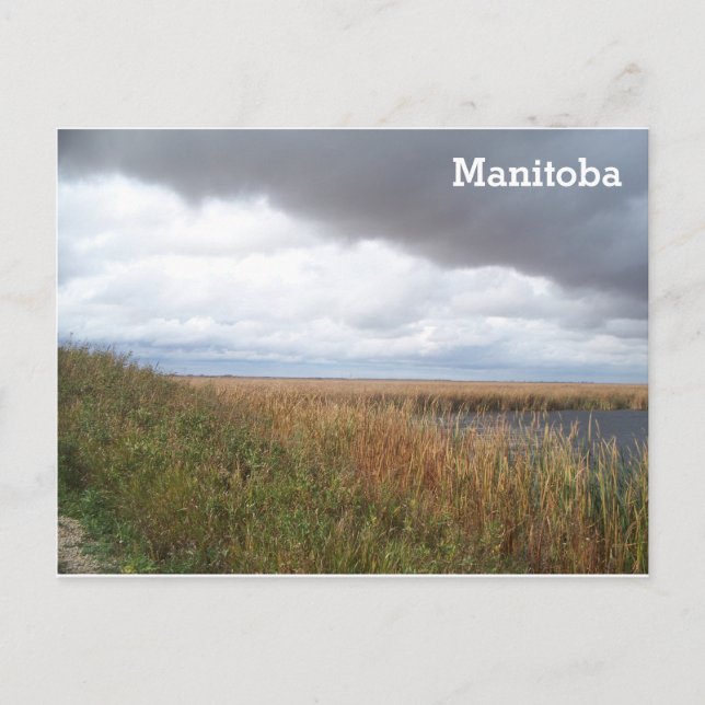 Cartão Postal Oak Hammock Marsh (Frente)