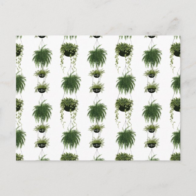 Cartão Postal Oásis Interior | Cestos de retenção (Frente)