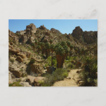 Oásis Lost Palms II no Parque Nacional Joshua Tree