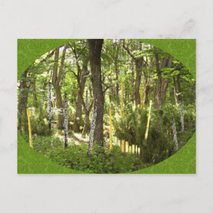 Cartão Postal Oboe Forest