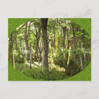 Cartão Postal Oboe Forest