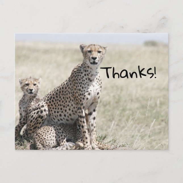 Cartão Postal Obrigado (Frente)