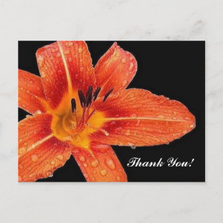 Cartão Postal Obrigado!