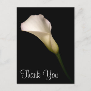 Cartão Postal Obrigado