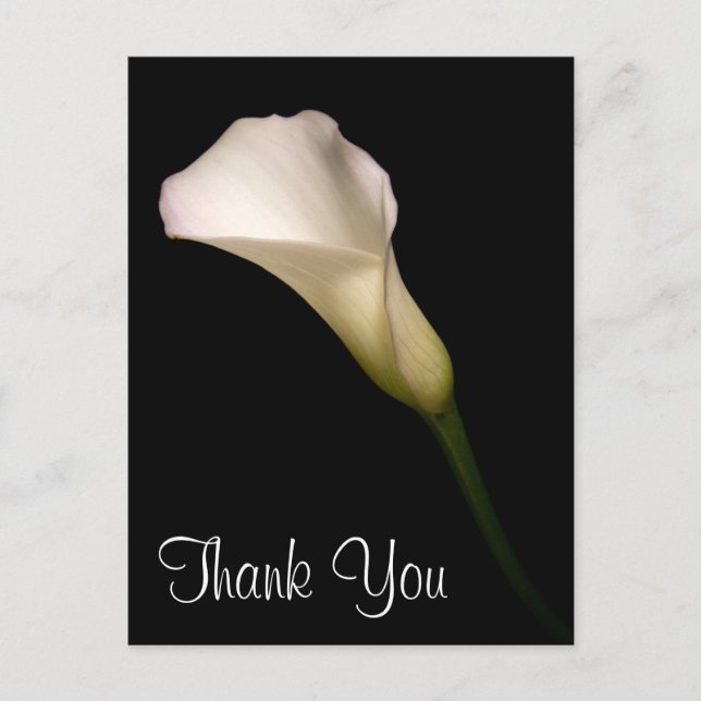 Cartão Postal Obrigado (Frente)